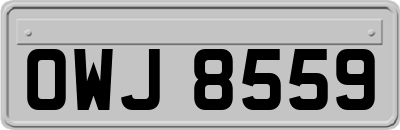 OWJ8559