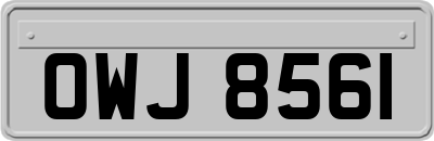OWJ8561