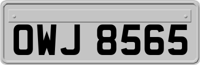 OWJ8565