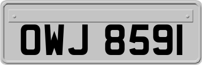 OWJ8591