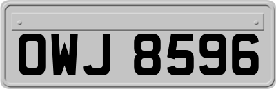 OWJ8596