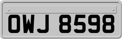 OWJ8598