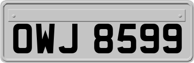OWJ8599