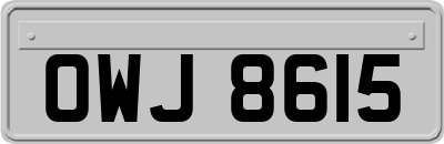 OWJ8615