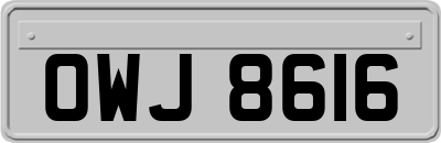 OWJ8616