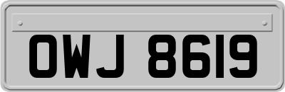 OWJ8619