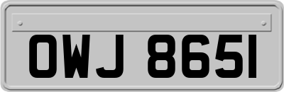 OWJ8651