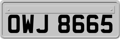 OWJ8665