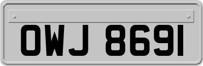 OWJ8691