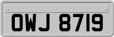 OWJ8719