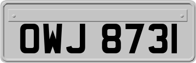OWJ8731