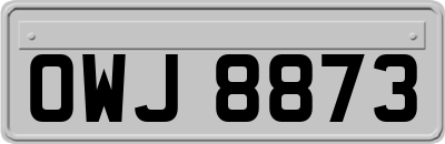 OWJ8873