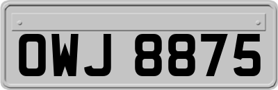 OWJ8875