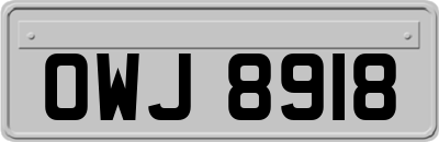 OWJ8918