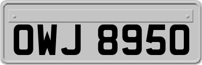 OWJ8950