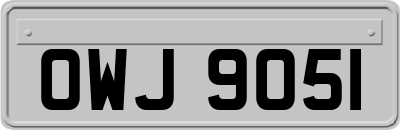 OWJ9051