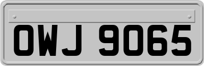 OWJ9065
