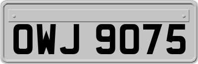 OWJ9075