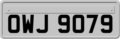 OWJ9079