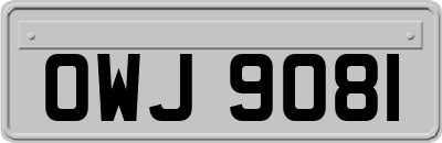 OWJ9081