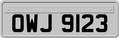 OWJ9123