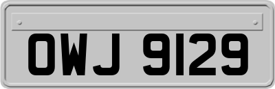 OWJ9129