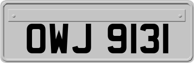 OWJ9131