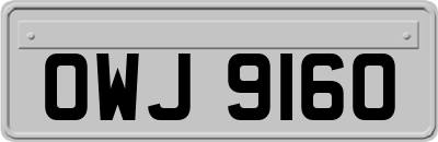OWJ9160