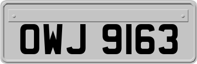 OWJ9163