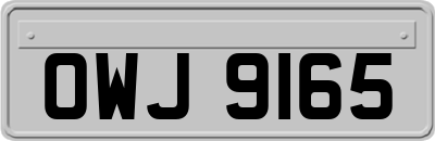 OWJ9165