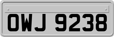 OWJ9238
