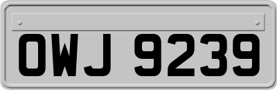 OWJ9239