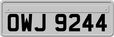 OWJ9244