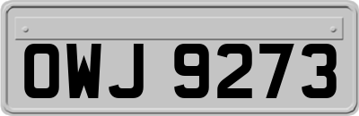 OWJ9273