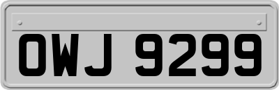 OWJ9299