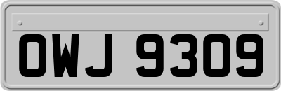 OWJ9309