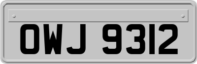 OWJ9312