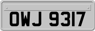 OWJ9317