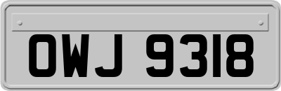 OWJ9318