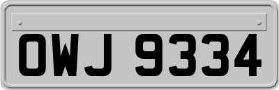 OWJ9334