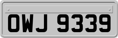 OWJ9339