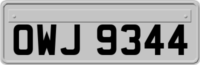OWJ9344