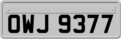 OWJ9377
