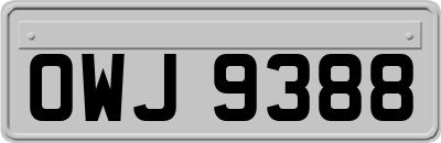 OWJ9388