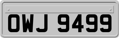 OWJ9499