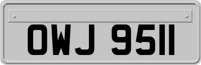 OWJ9511