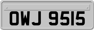 OWJ9515