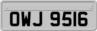 OWJ9516
