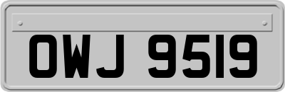 OWJ9519