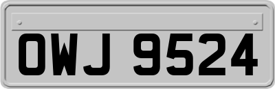 OWJ9524
